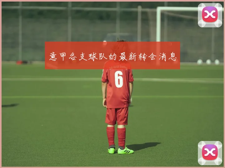 意甲各支球队的最新转会消息